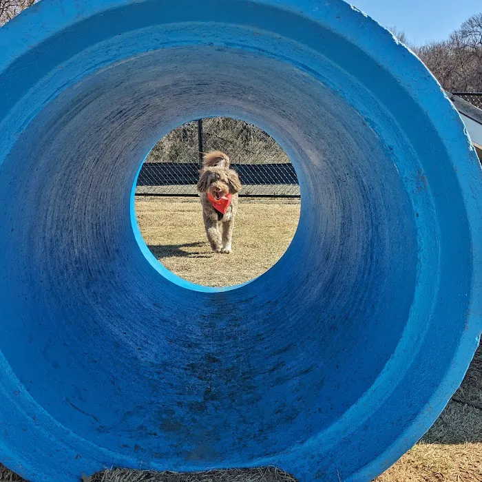 Prairie Tails Dog Park 2