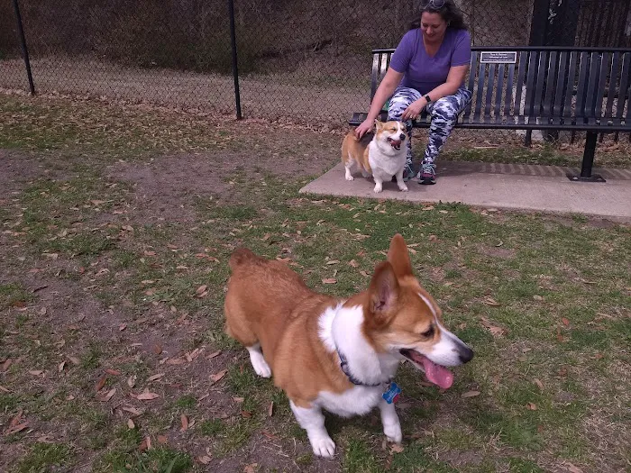 Harry Myers Dog Park 7