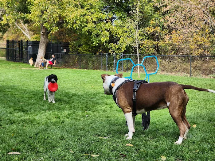 Harry Myers Dog Park 3