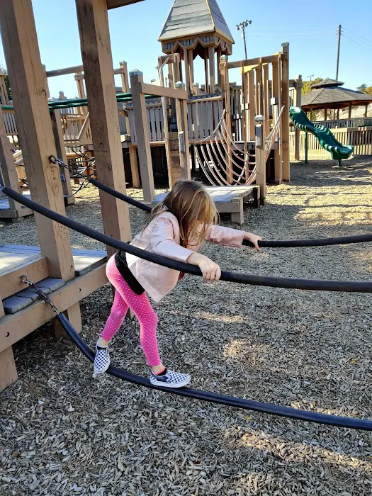 Harry Myers Dog Park 5