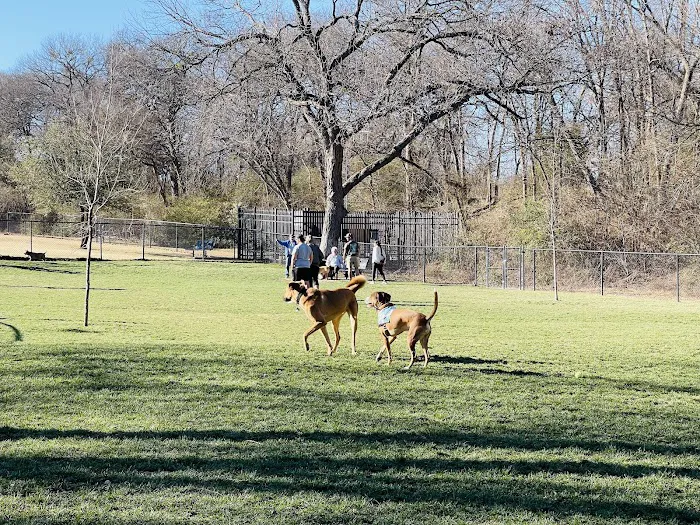 Harry Myers Dog Park 10