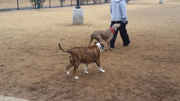 Jack Carter Dog Park 1