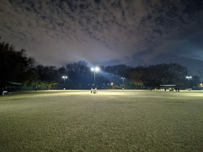 Jack Carter Dog Park 8