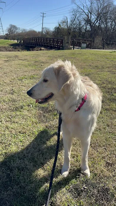 Jack Carter Dog Park 7