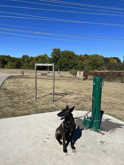 Jack Carter Dog Park 6