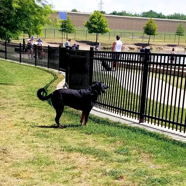 NorthBark Dog Park 1