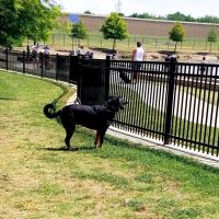 NorthBark Dog Park ico