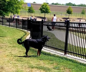 NorthBark Dog Park