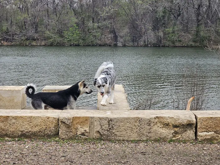 NorthBark Dog Park 2