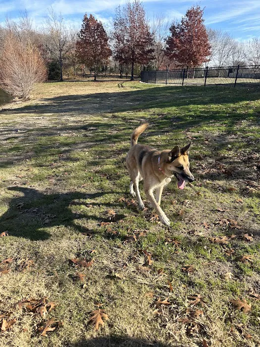 NorthBark Dog Park 3