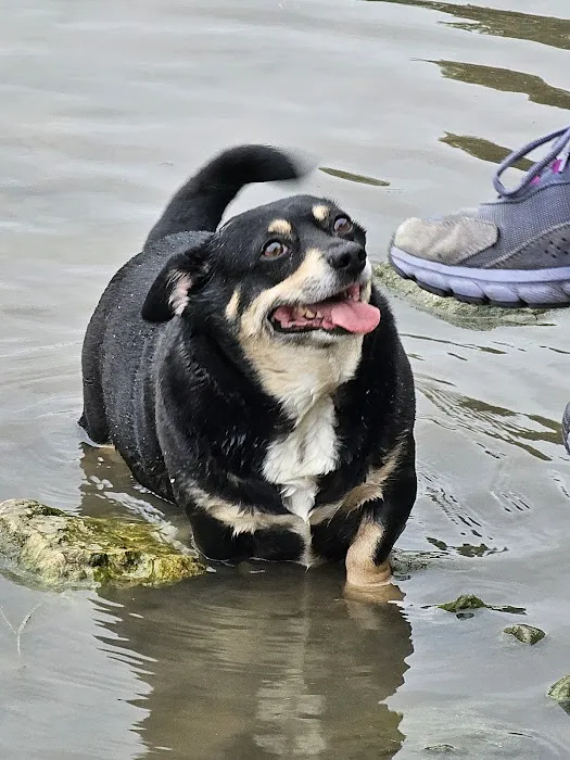 NorthBark Dog Park 7