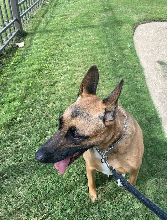 Rosemeade Dog Park 5