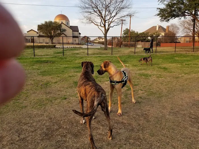 Rosemeade Dog Park 6
