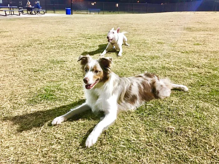 Rosemeade Dog Park 7