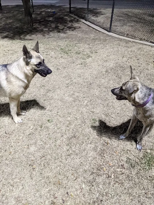 Rosemeade Dog Park 9
