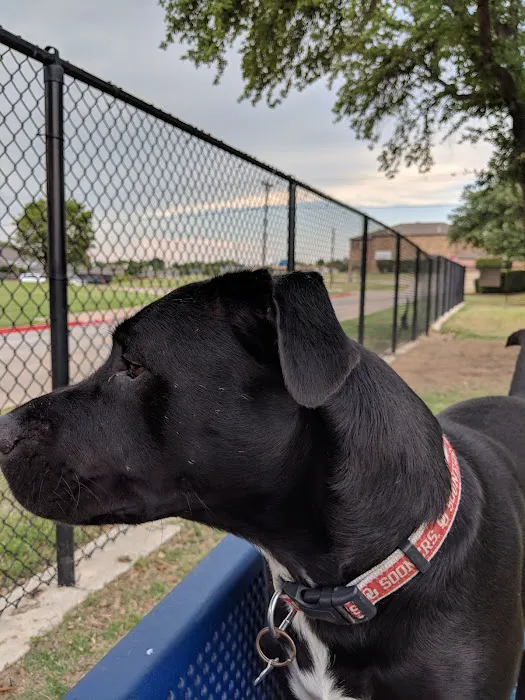 Rosemeade Dog Park 3