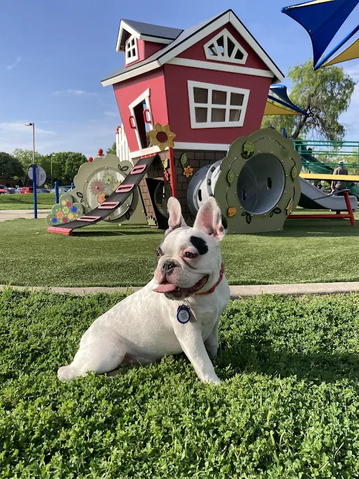 Rosemeade Dog Park 10