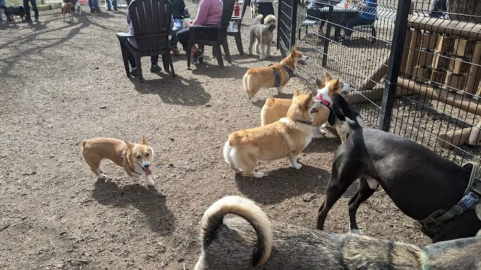 The Shacks Dining & Dog Park 1