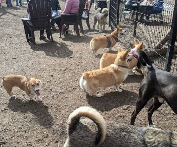 The Shacks Dining & Dog Park