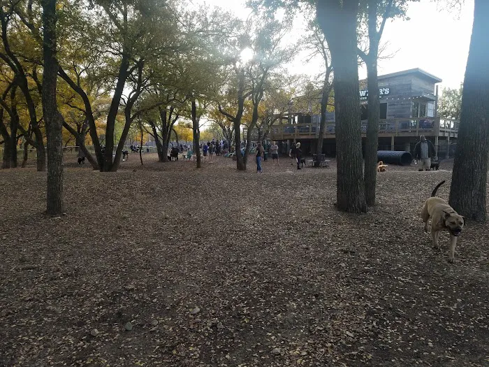 The Shacks Dining & Dog Park 8