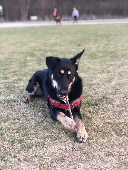 Dog Park at Windhaven Meadows Park 6