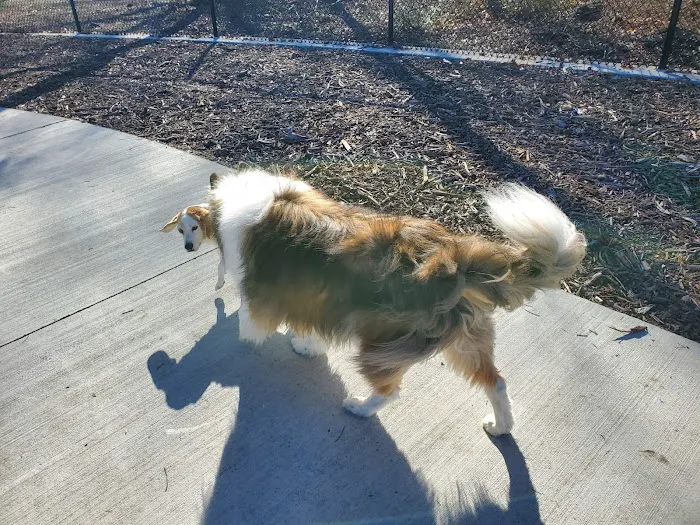Dog Park at Windhaven Meadows Park 7