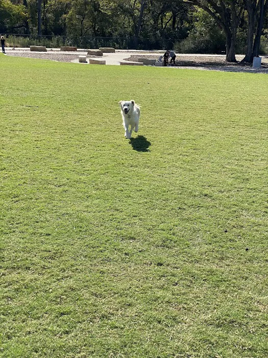 Dog Park at Windhaven Meadows Park 8