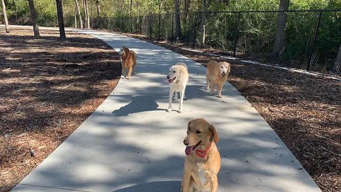 Dog Park at Windhaven Meadows Park 1