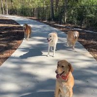 Dog Park at Windhaven Meadows Park ico