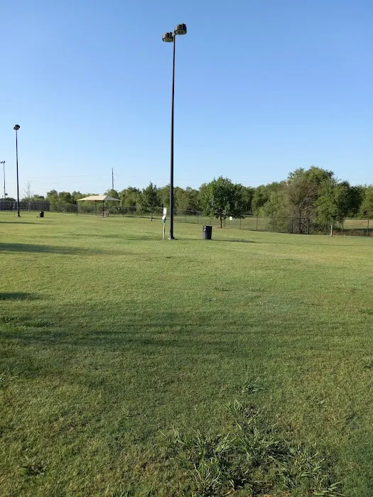 Dog Park 8