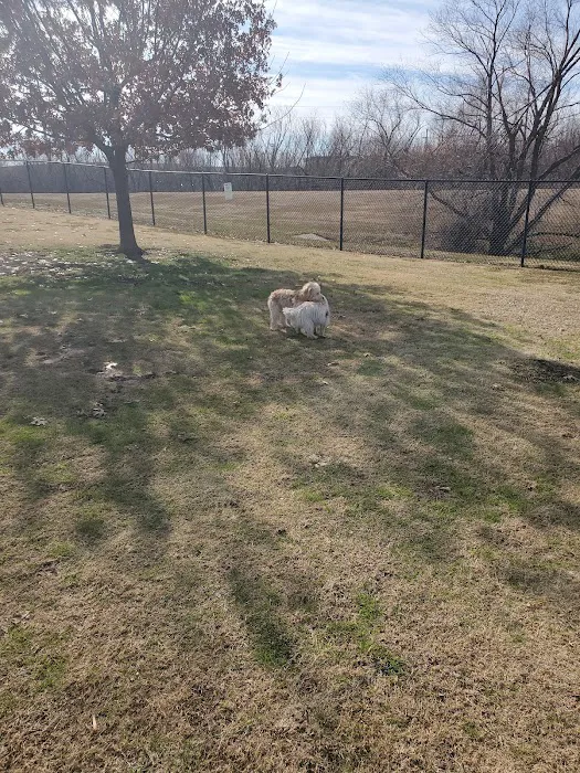 Dog Park 5