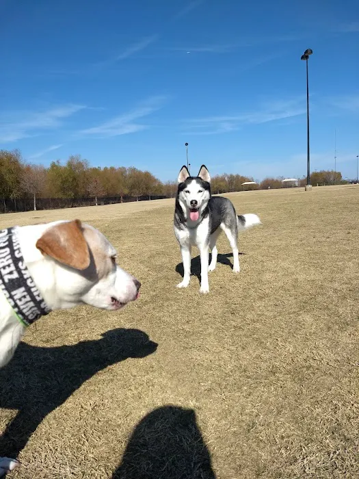 Dog Park 3