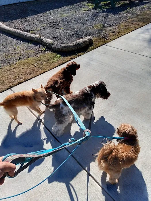 Wags-A-Hachie Dog Park 5