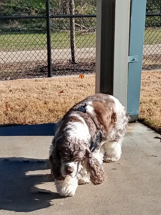 Wags-A-Hachie Dog Park 7