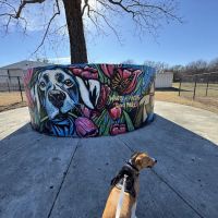 Wags-A-Hachie Dog Park ico
