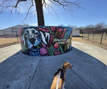 Wags-A-Hachie Dog Park