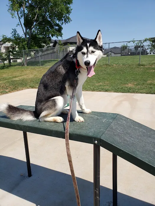 Midlothian Dog Park 5