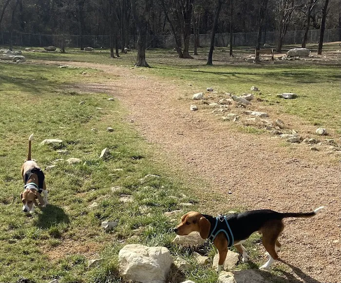 Midlothian Dog Park 4