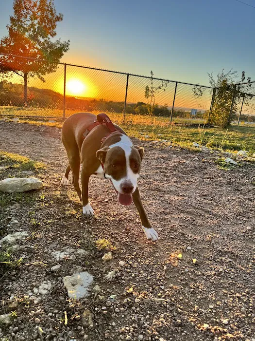 Midlothian Dog Park 10