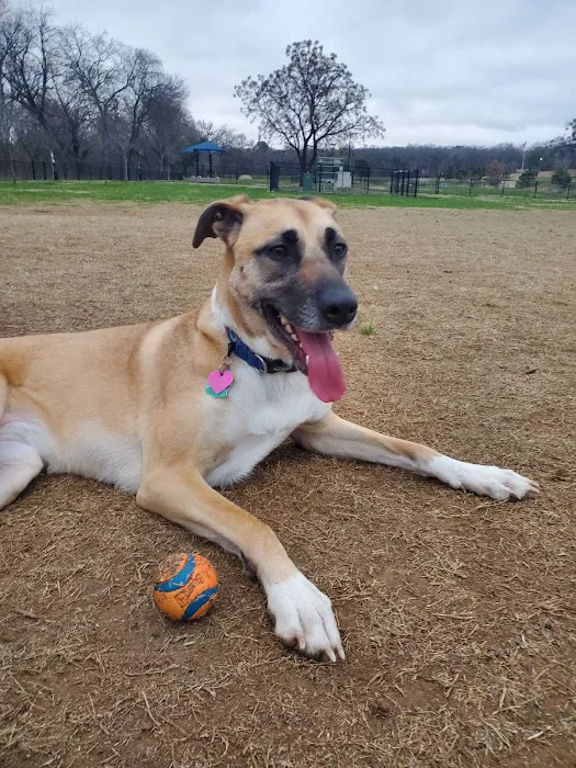 Rush Creek Dog Park #2 2