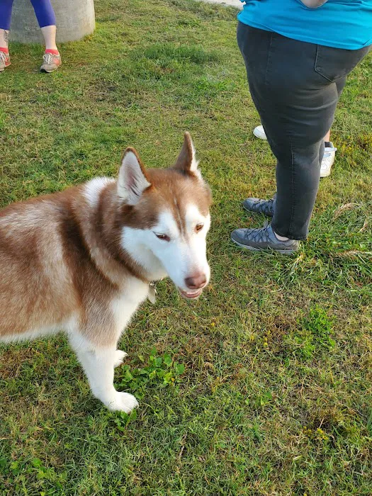 Rush Creek Dog Park #2 3