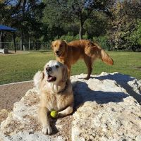 Rush Creek Dog Park #2 ico