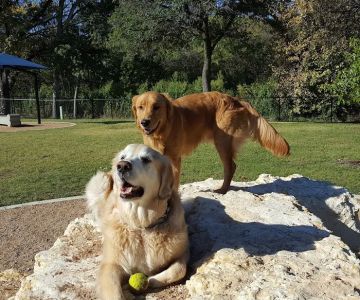 Rush Creek Dog Park #2