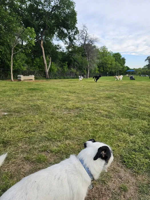 Rush Creek Dog Park #2 9