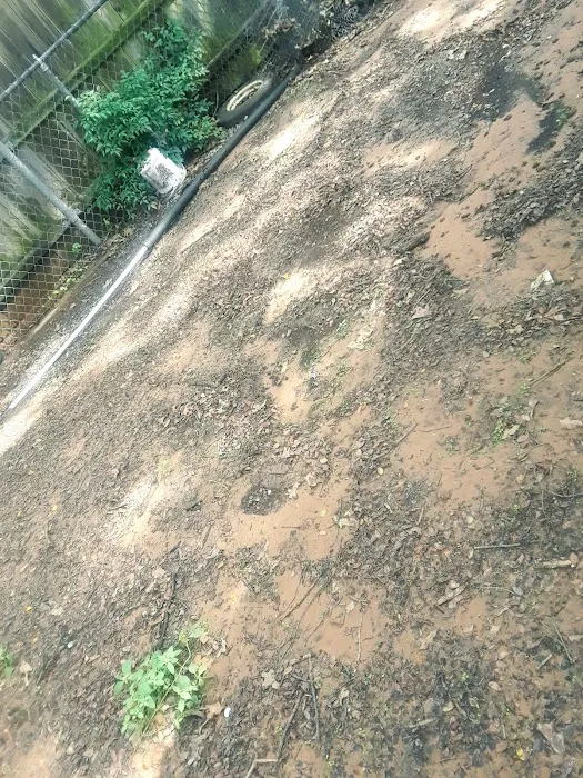 Bedford Bark Park 8