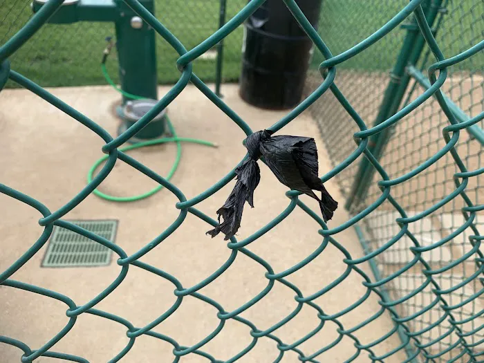 Bedford Bark Park 7