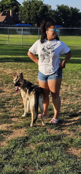 Bedford Bark Park 5
