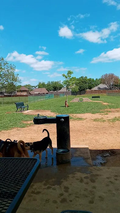 Bedford Bark Park 1