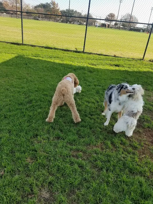 Bedford Bark Park 3