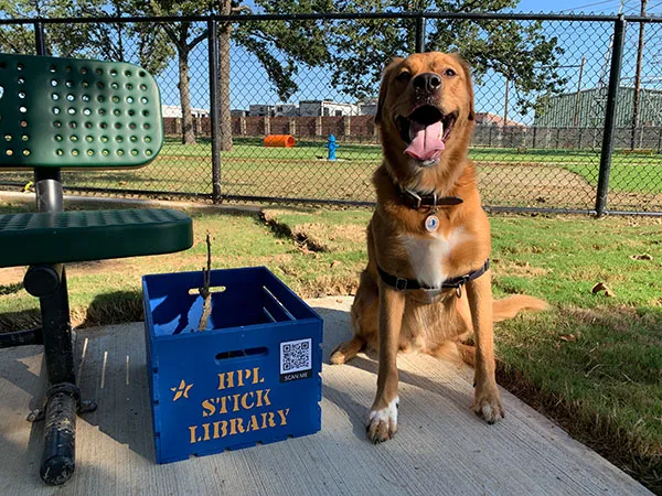 Hurst Dog Park 6